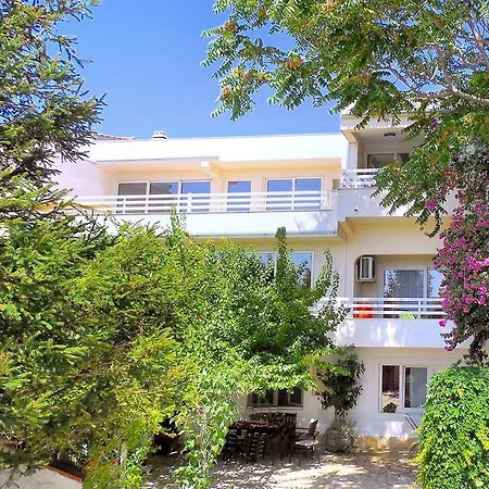 Orange Bamboo * Split