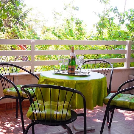 Orange Bamboo * Сплит